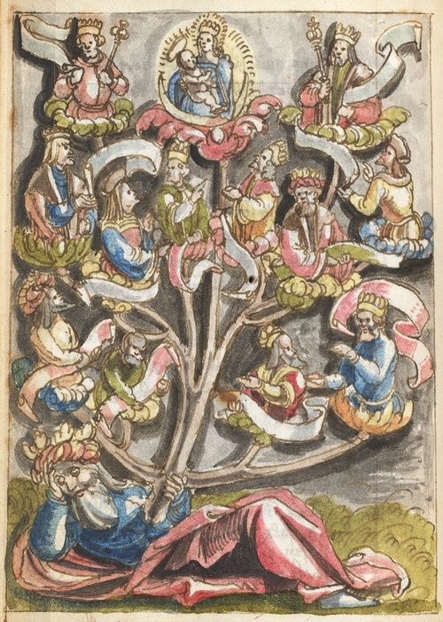 Coloured drawing of the Tree of Jesse.